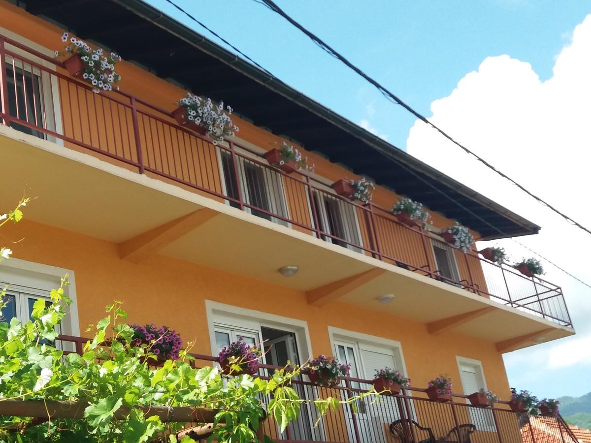 Apartments Mirkovic ツェティニェ エクステリア 写真