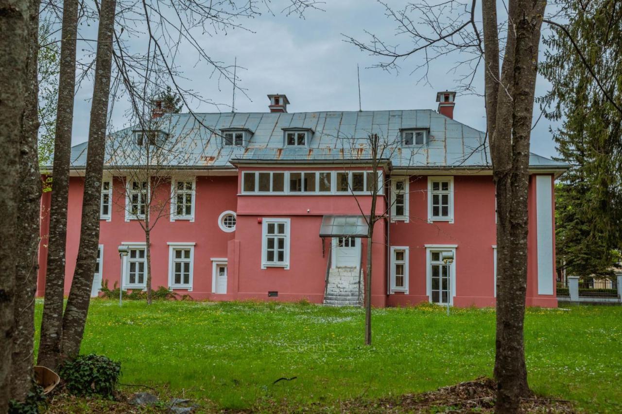 Apartments Mirkovic ツェティニェ エクステリア 写真